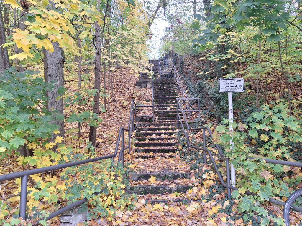 An image of a stairwell in the woods